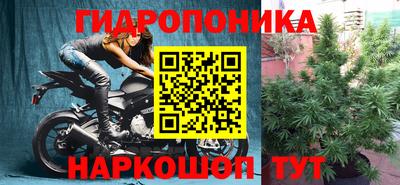 винт Свободный