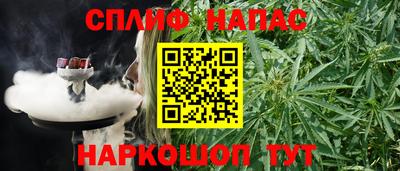 шишки Севастополь