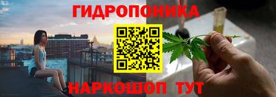 шишки Севастополь