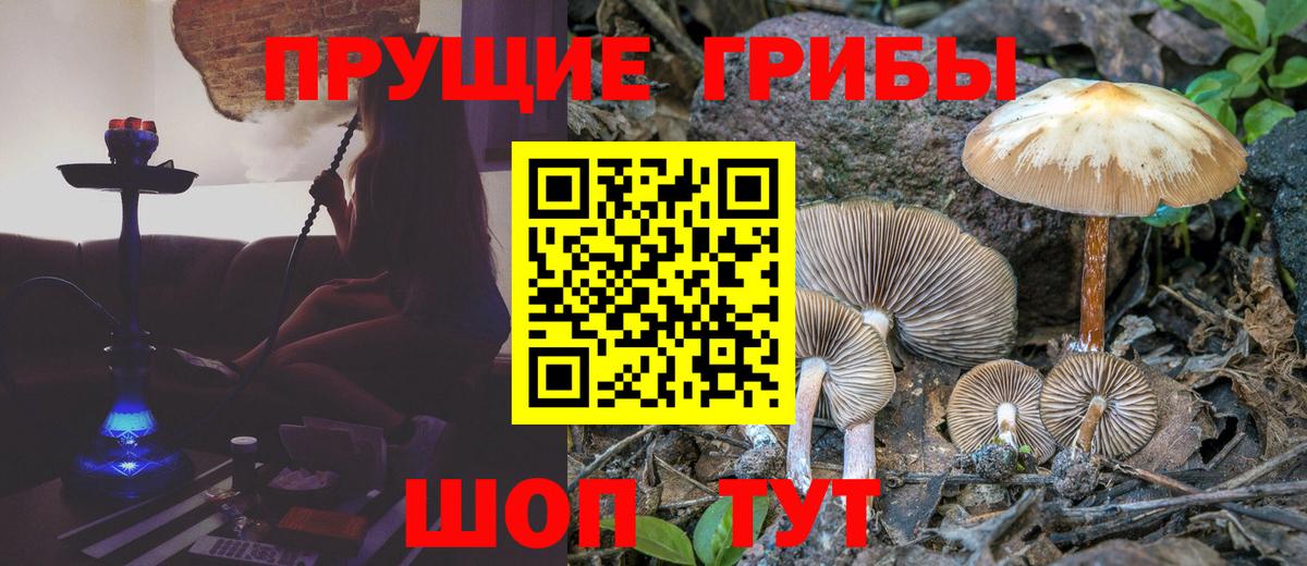Псилоцибиновые грибы Psilocybe  Галлюциногенные грибы GOLDEN TEACHER  Вход с VPN  Отрадный 