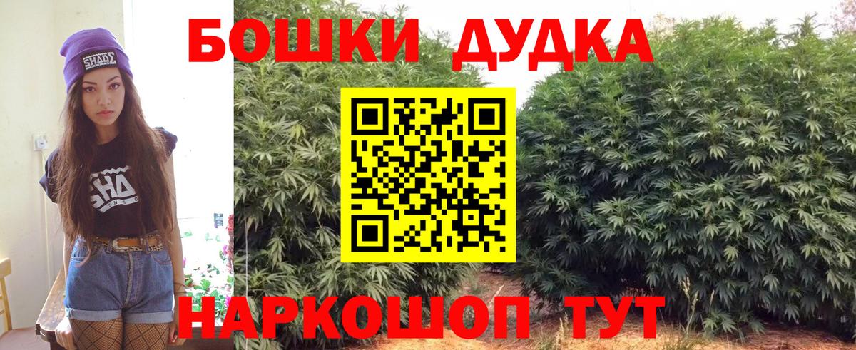 Бошки Шишки план Отрадный